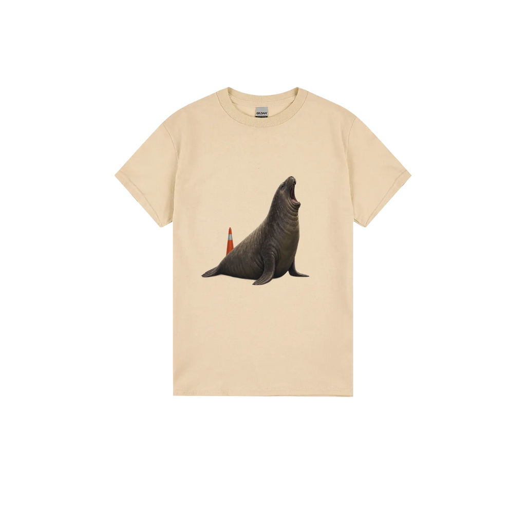Sand front flat lay